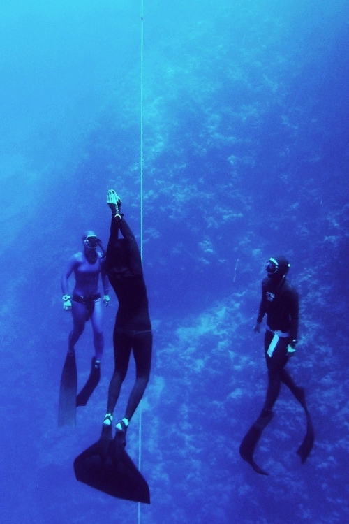 курсы фридайвинга, фридайвинг курсы, фридайвинг Шарм, фридайвинг Одесса, freediving, дайвинг клуб, апное, фридайвинг цены, египет фридайвинг цены